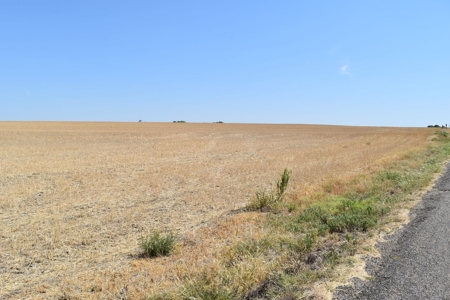 West, TX 91.48 Acres Land for Sale - image 2