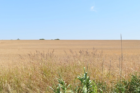 West, TX 91.48 Acres Land for Sale - image 4