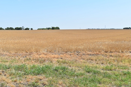 West, TX 91.48 Acres Land for Sale - image 5