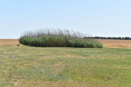 West, TX 91.48 Acres Land for Sale - image 7