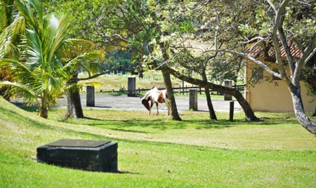 Costa Rica Ranch and lodge near National Park - image 5