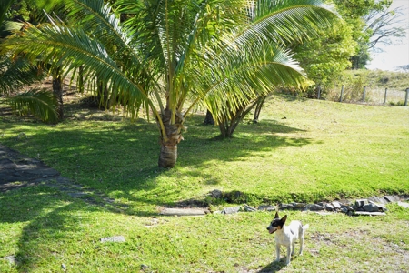 Costa Rica Ranch and lodge near National Park - image 37