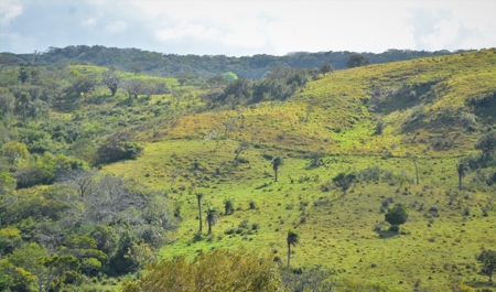 Costa Rica Ranch and lodge near National Park - image 30