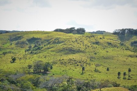 Costa Rica Ranch and lodge near National Park - image 13