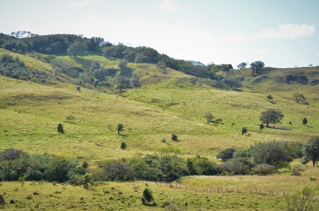 Costa Rica Ranch and lodge near National Park - image 1