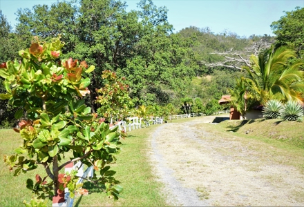 Costa Rica Ranch and lodge near National Park - image 14