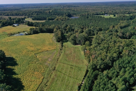 Mini Farm In Southern VA Near Kerr Lake - image 6