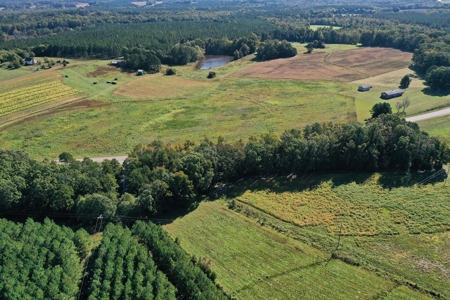 Mini Farm In Southern VA Near Kerr Lake - image 9