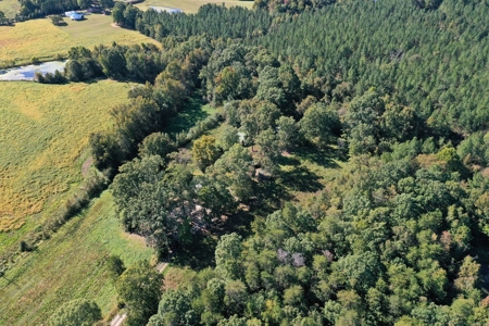 Mini Farm In Southern VA Near Kerr Lake - image 11