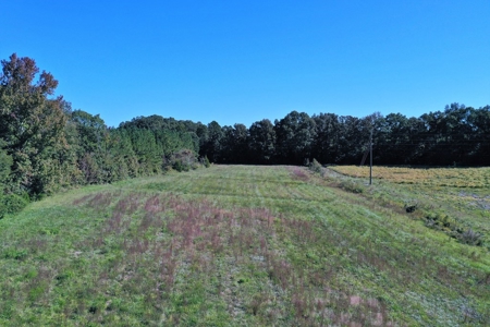 Mini Farm In Southern VA Near Kerr Lake - image 14