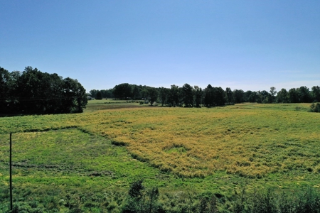 Mini Farm In Southern VA Near Kerr Lake - image 16