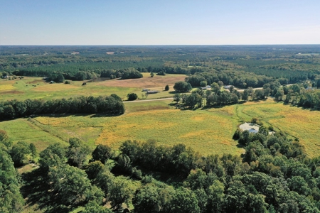 Mini Farm In Southern VA Near Kerr Lake - image 10