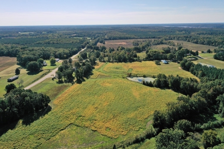 Mini Farm In Southern VA Near Kerr Lake - image 8