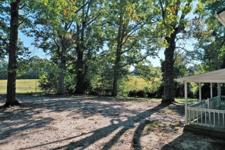 Mini Farm In Southern VA Near Kerr Lake - image 20