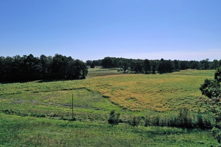 Mini Farm In Southern VA Near Kerr Lake - image 2