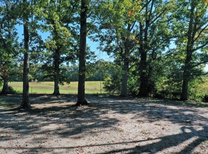 Mini Farm In Southern VA Near Kerr Lake - image 22