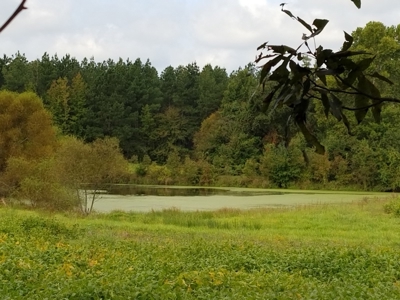 Mini Farm In Southern VA Near Kerr Lake - image 24