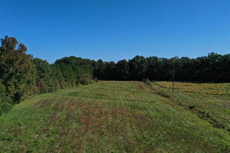 Mini Farm In Southern VA Near Kerr Lake - image 15