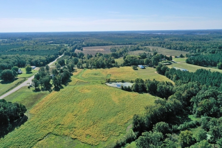 Mini Farm In Southern VA Near Kerr Lake - image 7
