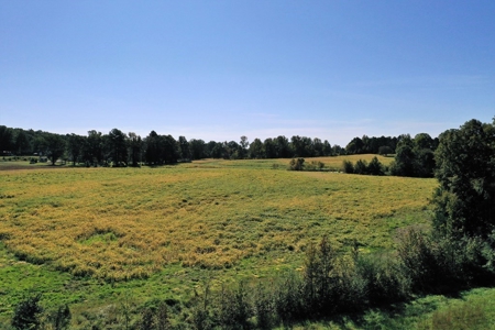 Mini Farm In Southern VA Near Kerr Lake - image 13