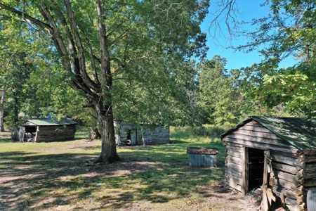 Mini Farm In Southern VA Near Kerr Lake - image 21