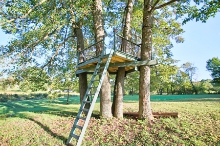 Stunning Country Home in West Plains, MO - image 31