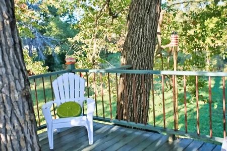 Stunning Country Home in West Plains, MO - image 38
