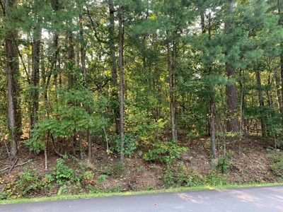 Condo, Hot Springs Village, Golf Course, Lakes - image 5