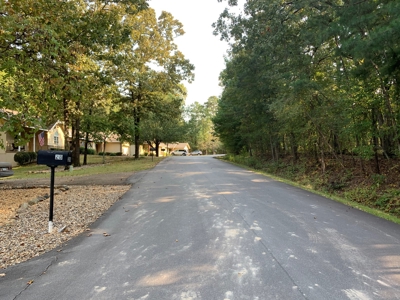 Condo, Hot Springs Village, Golf Course, Lakes - image 6