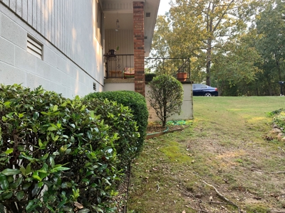 Condo, Hot Springs Village, Golf Course, Lakes - image 12