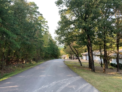 Condo, Hot Springs Village, Golf Course, Lakes - image 7