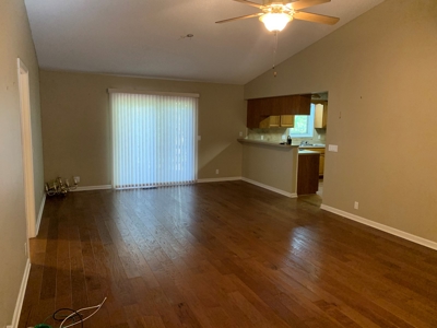 Condo, Hot Springs Village, Golf Course, Lakes - image 25