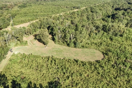 300 Acre High Fenced Hunting Ranch Concordia Parish, LA - image 37