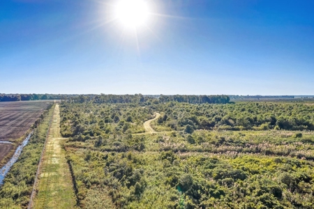 300 Acre High Fenced Hunting Ranch Concordia Parish, LA - image 23
