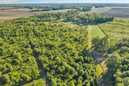 300 Acre High Fenced Hunting Ranch Concordia Parish, LA - image 26