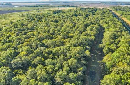 300 Acre High Fenced Hunting Ranch Concordia Parish, LA - image 25