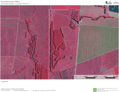 300 Acre High Fenced Hunting Ranch Concordia Parish, LA - image 48