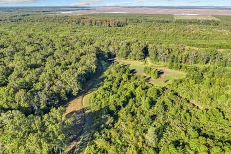 300 Acre High Fenced Hunting Ranch Concordia Parish, LA - image 32