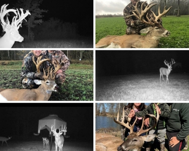 300 Acre High Fenced Hunting Ranch Concordia Parish, LA - image 2