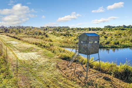 300 Acre High Fenced Hunting Ranch Concordia Parish, LA - image 27