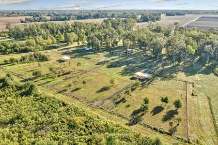 300 Acre High Fenced Hunting Ranch Concordia Parish, LA - image 33