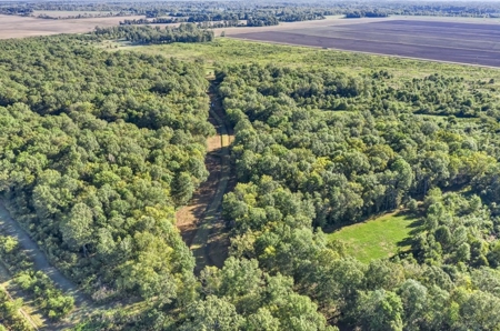 300 Acre High Fenced Hunting Ranch Concordia Parish, LA - image 35
