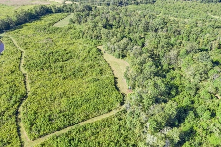300 Acre High Fenced Hunting Ranch Concordia Parish, LA - image 39