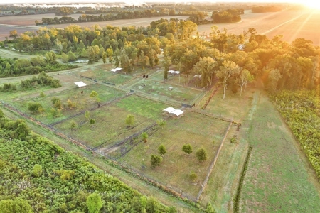300 Acre High Fenced Hunting Ranch Concordia Parish, LA - image 20