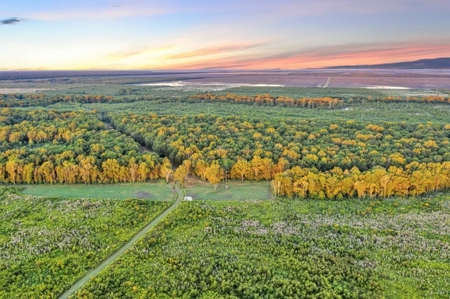 300 Acre High Fenced Hunting Ranch Concordia Parish, LA - image 15
