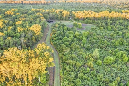 300 Acre High Fenced Hunting Ranch Concordia Parish, LA - image 21