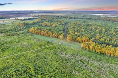 300 Acre High Fenced Hunting Ranch Concordia Parish, LA - image 14