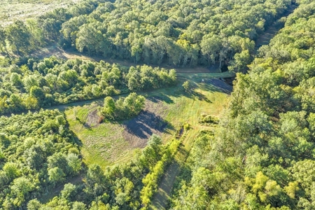 300 Acre High Fenced Hunting Ranch Concordia Parish, LA - image 24