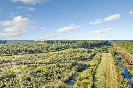 300 Acre High Fenced Hunting Ranch Concordia Parish, LA - image 22