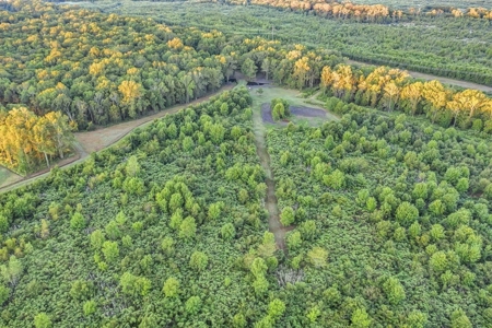 300 Acre High Fenced Hunting Ranch Concordia Parish, LA - image 17